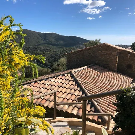 La Paquerettes